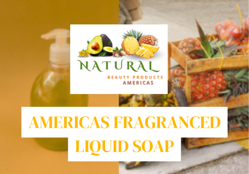 Americas Fragranced Liquid Soap